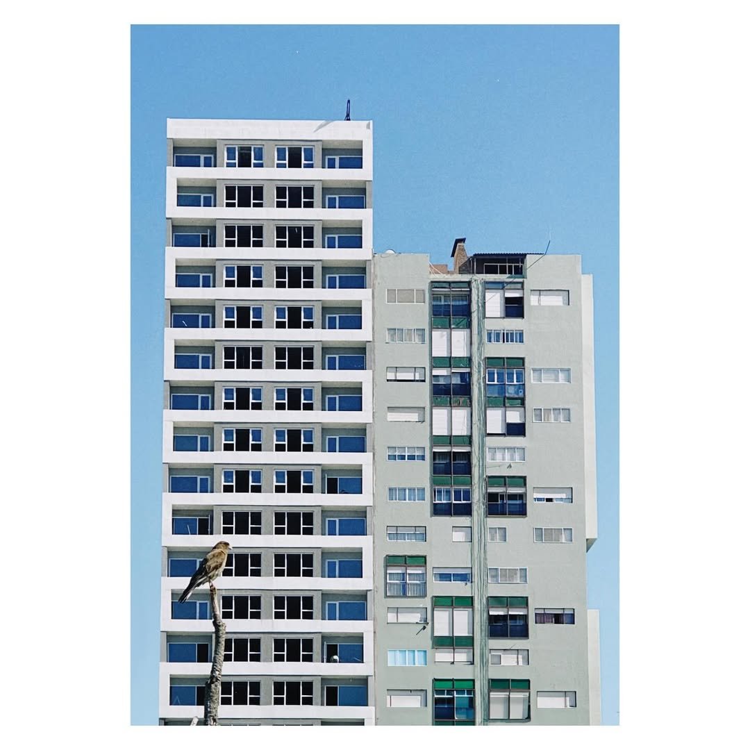 Imagen de galería 2