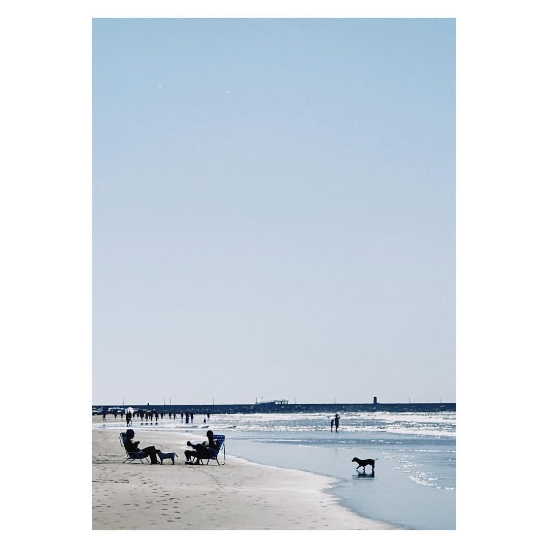 Imagen de galería 8